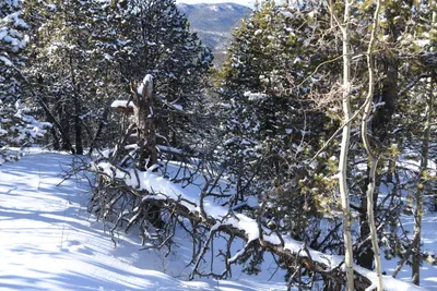 DSC_4986 (Large).JPG